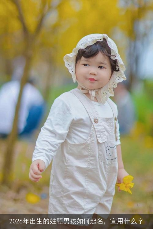 2026年出生的姓顾男孩如何起名,宜用什么字 2026年出生的姓顾男孩如何起名,宜用什么字