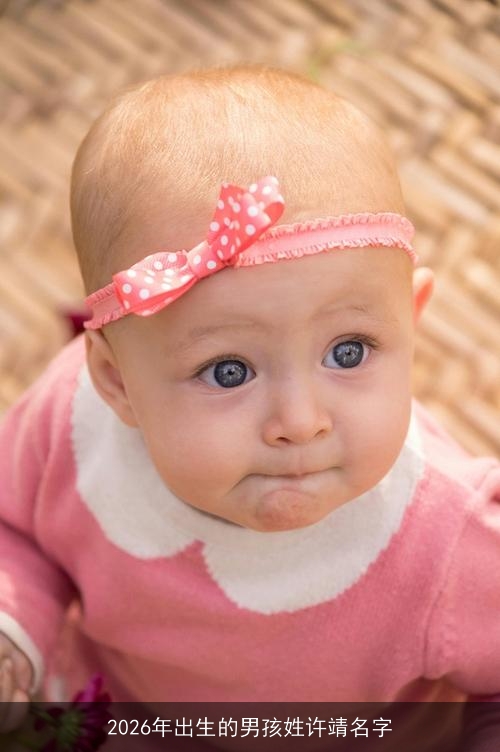 2026年出生的男孩姓许靖名字 2026年出生的男孩姓许靖名字