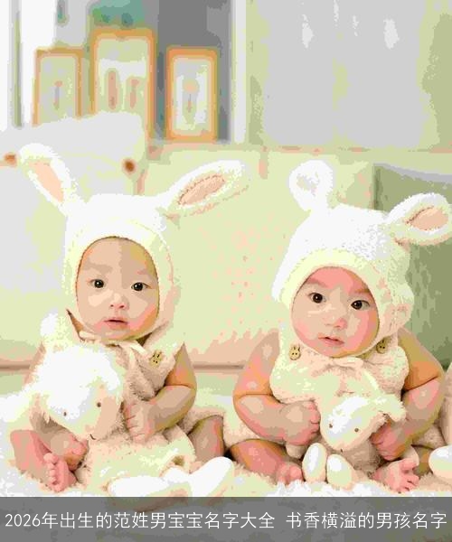2026年出生的范姓男宝宝名字大全 书香横溢的男孩名字 2026年出生的范姓男宝宝名字大全 书香横溢的男孩名字