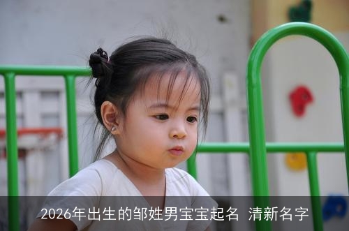 2026年出生的邹姓男宝宝起名 清新名字 2026年出生的邹姓男宝宝起名 清新名字
