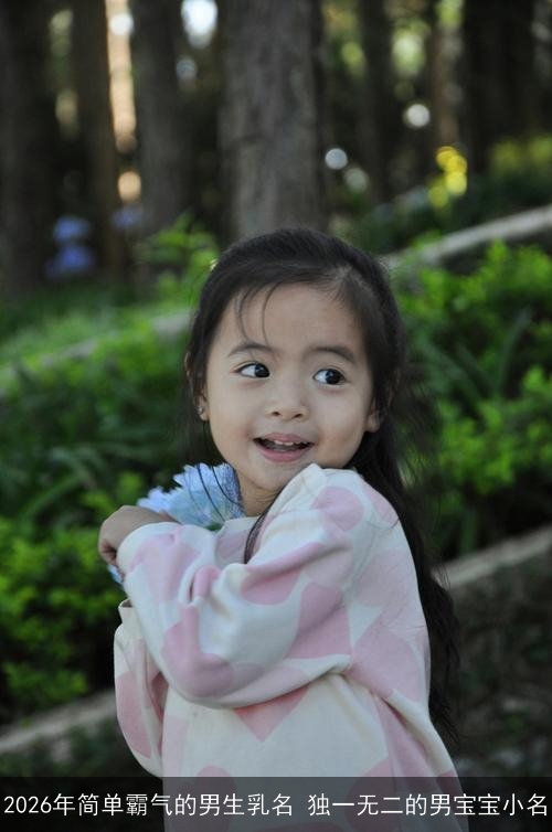 2026年简单霸气的男生乳名 独一无二的男宝宝小名 2026年简单霸气的男生乳名 独一无二的男宝宝小名