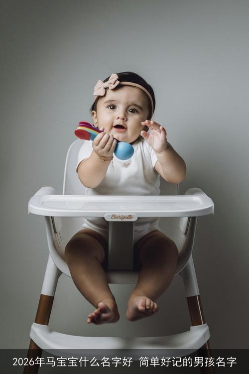 2026年马宝宝什么名字好 简单好记的男孩名字 2026年马宝宝什么名字好 简单好记的男孩名字