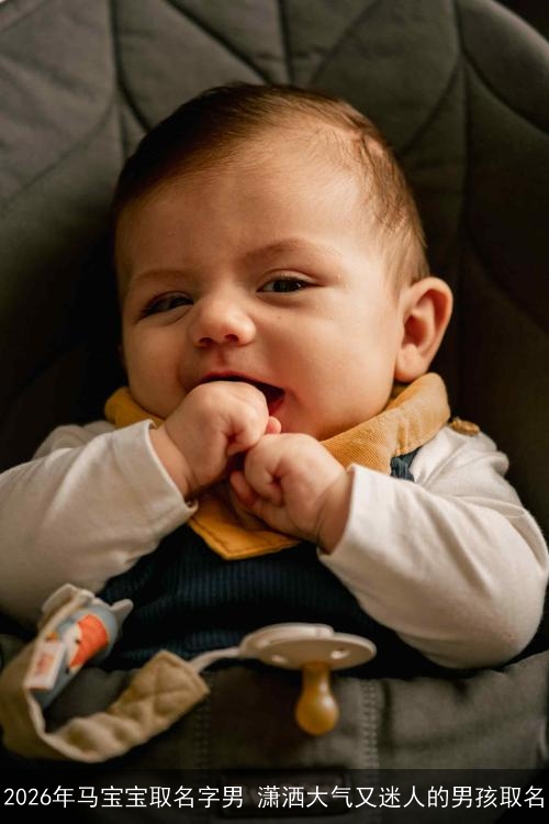 2026年马宝宝取名字男 潇洒大气又迷人的男孩取名 2026年马宝宝取名字男 潇洒大气又迷人的男孩取名