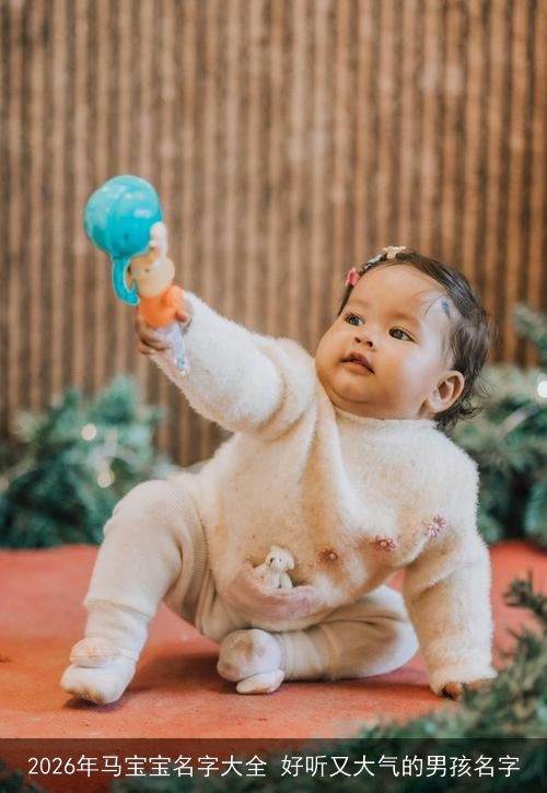 2026年马宝宝名字大全 好听又大气的男孩名字 2026年马宝宝名字大全 好听又大气的男孩名字