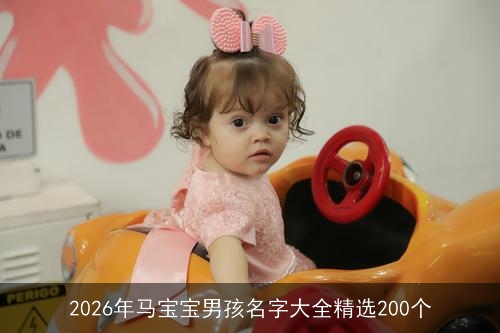 2026年马宝宝男孩名字大全精选200个 2026年马宝宝男孩名字大全精选200个