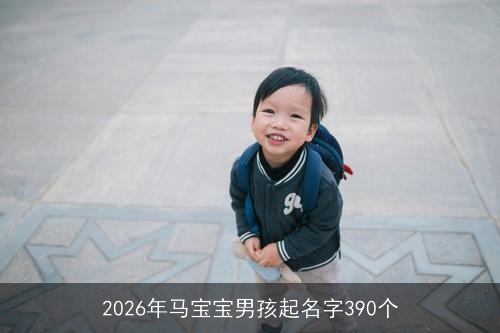 2026年马宝宝男孩起名字390个 2026年马宝宝男孩起名字390个
