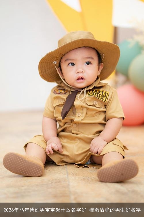 2026年马年傅姓男宝宝起什么名字好 稚嫩清脆的男生好名字 2026年马年傅姓男宝宝起什么名字好 稚嫩清脆的男生好名字