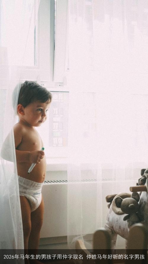 2026年马年生的男孩子用仲字取名 仲姓马年好听的名字男孩 2026年马年生的男孩子用仲字取名 仲姓马年好听的名字男孩