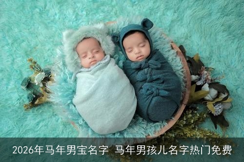 2026年马年男宝名字 马年男孩儿名字热门免费 2026年马年男宝名字 马年男孩儿名字热门免费