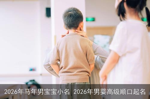 2026年马年男宝宝小名 2026年男婴高级顺口起名 2026年马年男宝宝小名 2026年男婴高级顺口起名