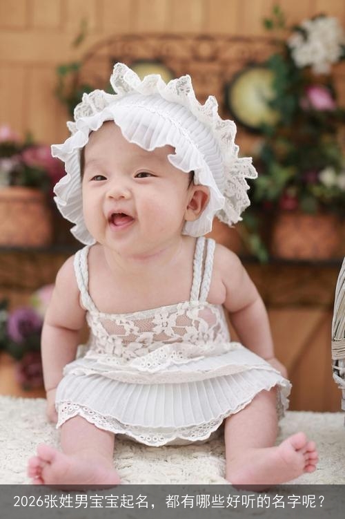 2026张姓男宝宝起名,都有哪些好听的名字呢? 2026张姓男宝宝起名,都有哪些好听的名字呢?