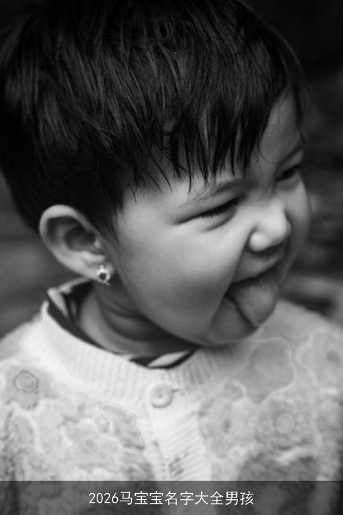 2026马宝宝名字大全男孩 2026马宝宝名字大全男孩