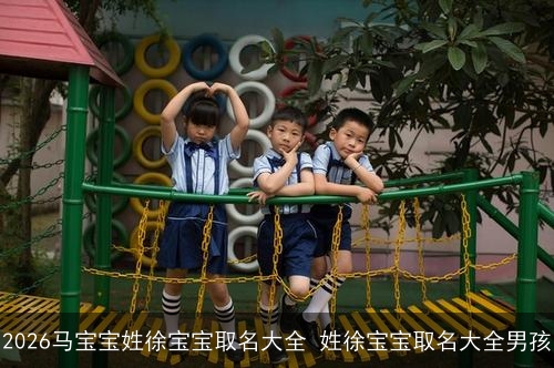 2026马宝宝姓徐宝宝取名大全 姓徐宝宝取名大全男孩 2026马宝宝姓徐宝宝取名大全 姓徐宝宝取名大全男孩