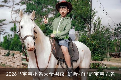 2026马宝宝小名大全男孩 好听好记的宝宝乳名 2026马宝宝小名大全男孩 好听好记的宝宝乳名