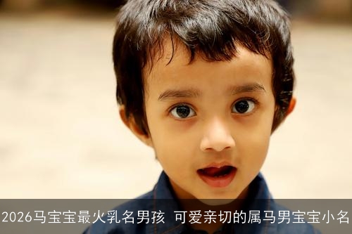 2026马宝宝最火乳名男孩 可爱亲切的属马男宝宝小名 2026马宝宝最火乳名男孩 可爱亲切的属马男宝宝小名
