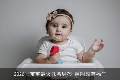 2026马宝宝最火乳名男孩 越叫越有福气 2026马宝宝最火乳名男孩 越叫越有福气