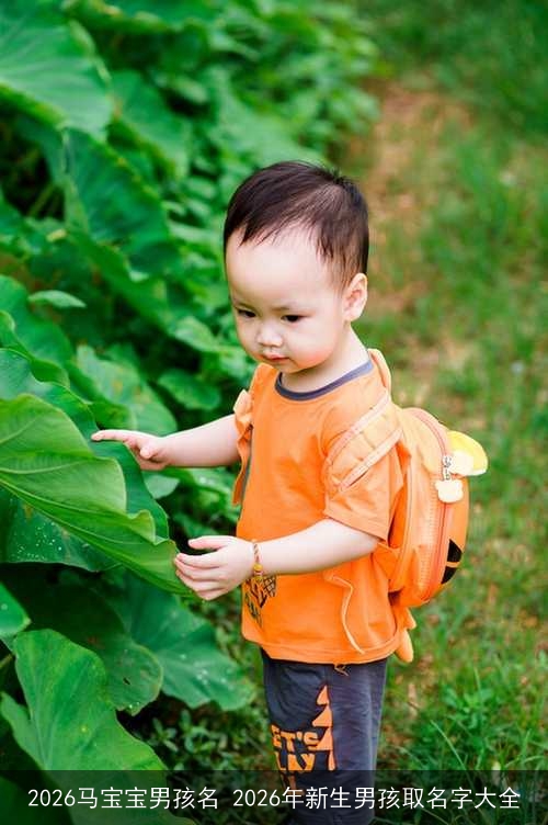2026马宝宝男孩名 2026年新生男孩取名字大全 2026马宝宝男孩名 2026年新生男孩取名字大全