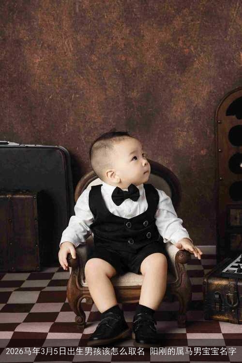 2026马年3月5日出生男孩该怎么取名 阳刚的属马男宝宝名字 2026马年3月5日出生男孩该怎么取名 阳刚的属马男宝宝名字
