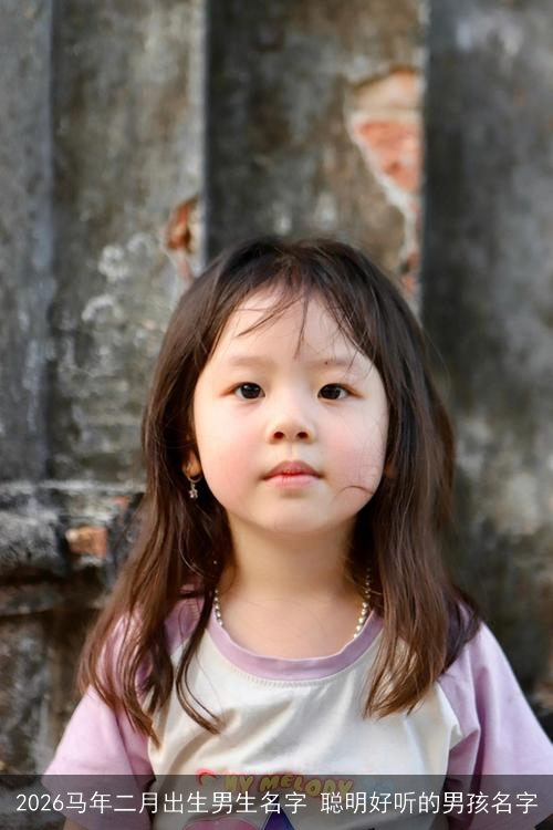 2026马年二月出生男生名字 聪明好听的男孩名字 2026马年二月出生男生名字 聪明好听的男孩名字