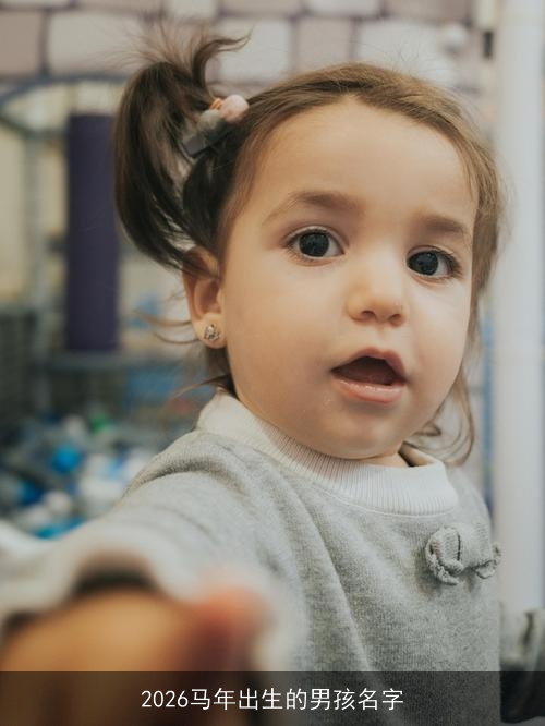 2026马年出生的男孩名字 2026马年出生的男孩名字