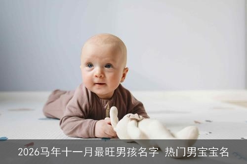 2026马年十一月最旺男孩名字 热门男宝宝名 2026马年十一月最旺男孩名字 热门男宝宝名
