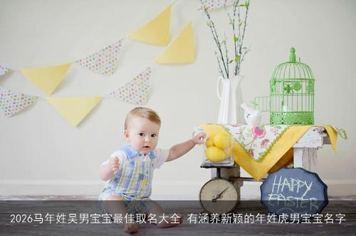 2026马年姓吴男宝宝最佳取名大全 有涵养新颖的年姓虎男宝宝名字 2026马年姓吴男宝宝最佳取名大全 有涵养新颖的年姓虎男宝宝名字