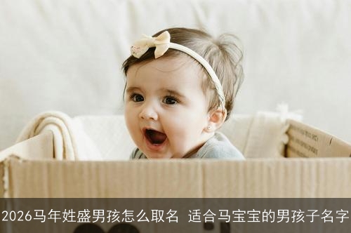 2026马年姓盛男孩怎么取名 适合马宝宝的男孩子名字 2026马年姓盛男孩怎么取名 适合马宝宝的男孩子名字