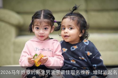 2026马年姓章的新生男宝宝最佳取名推荐 增财运起名 2026马年姓章的新生男宝宝最佳取名推荐 增财运起名