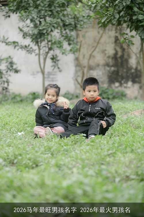 2026马年最旺男孩名字 2026年最火男孩名 2026马年最旺男孩名字 2026年最火男孩名