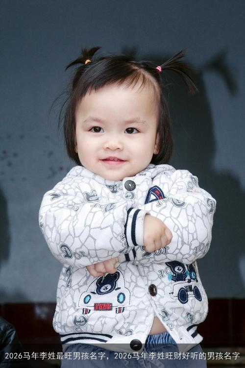 2026马年李姓最旺男孩名字,2026马年李姓旺财好听的男孩名字 2026马年李姓最旺男孩名字,2026马年李姓旺财好听的男孩名字