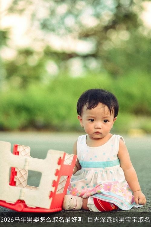 2026马年男婴怎么取名最好听 目光深远的男宝宝取名 2026马年男婴怎么取名最好听 目光深远的男宝宝取名
