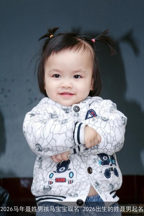 2026马年聂姓男孩马宝宝取名 2026出生的姓聂男起名 2026马年聂姓男孩马宝宝取名 2026出生的姓聂男起名
