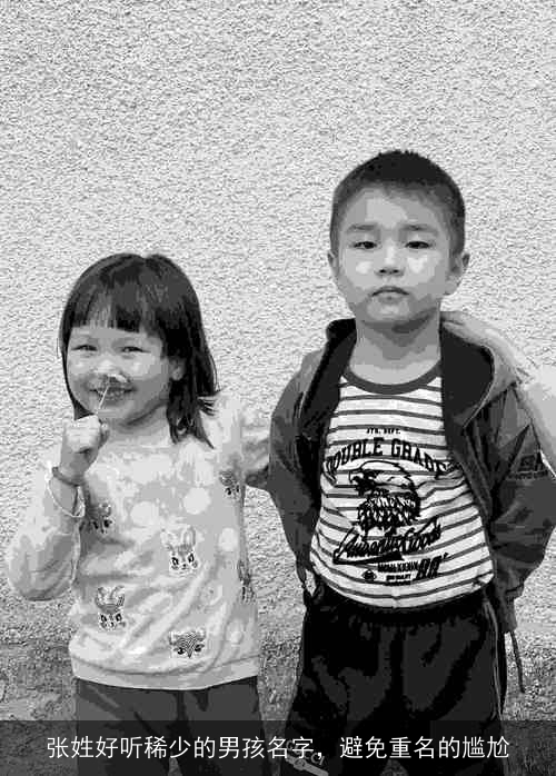张姓好听稀少的男孩名字,避免重名的尴尬 张姓好听稀少的男孩名字,避免重名的尴尬
