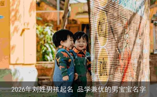 2026年刘姓男孩起名 品学兼优的男宝宝名字 2026年刘姓男孩起名 品学兼优的男宝宝名字