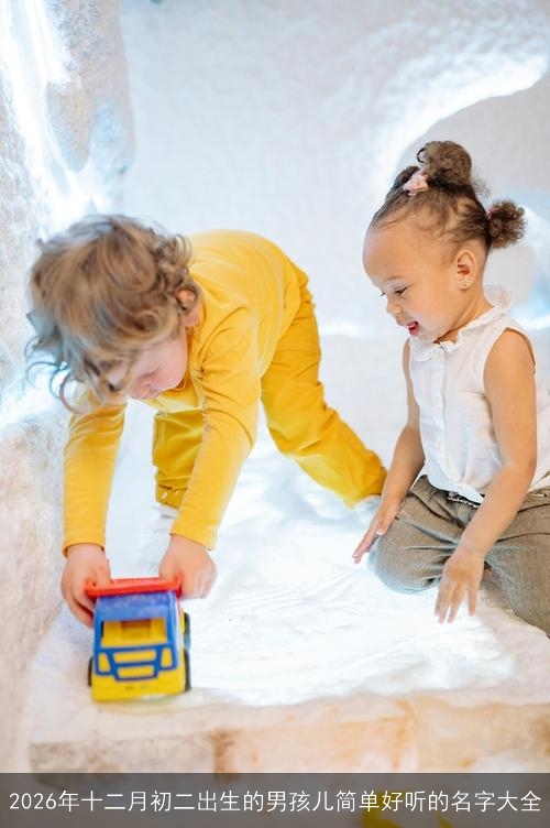 2026年十二月初二出生的男孩儿简单好听的名字大全 2026年十二月初二出生的男孩儿简单好听的名字大全