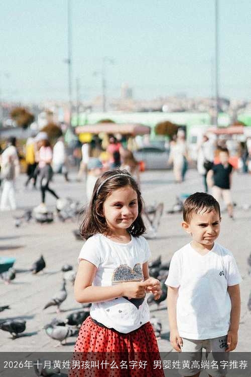 2026年十月黄姓男孩叫什么名字好 男婴姓黄高端名字推荐 2026年十月黄姓男孩叫什么名字好 男婴姓黄高端名字推荐