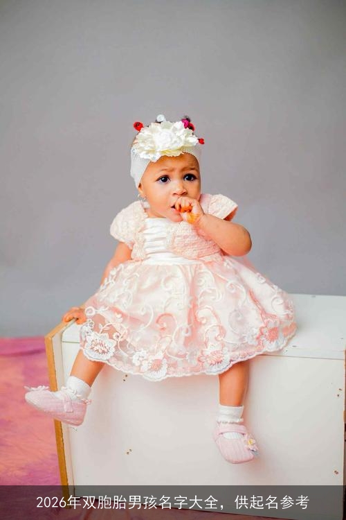 2026年双胞胎男孩名字大全,供起名参考 2026年双胞胎男孩名字大全,供起名参考