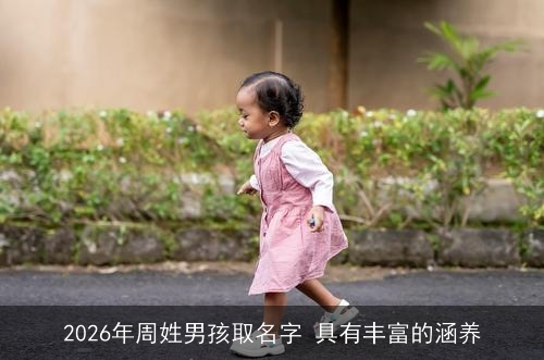 2026年周姓男孩取名字 具有丰富的涵养 2026年周姓男孩取名字 具有丰富的涵养