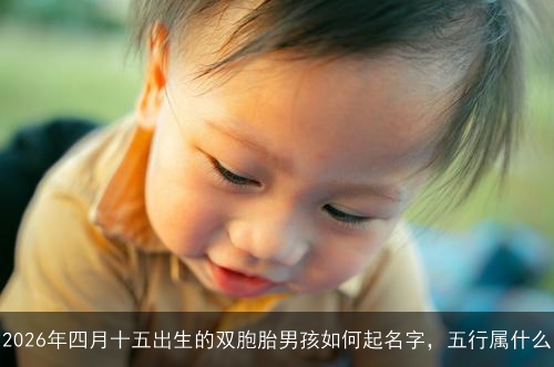 2026年四月十五出生的双胞胎男孩如何起名字,五行属什么 2026年四月十五出生的双胞胎男孩如何起名字,五行属什么