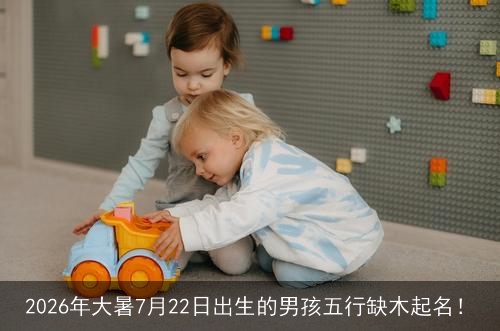 2026年大暑7月22日出生的男孩五行缺木起名! 2026年大暑7月22日出生的男孩五行缺木起名!