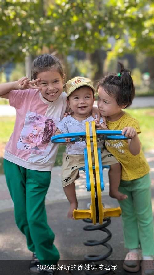 2026年好听的徐姓男孩名字 2026年好听的徐姓男孩名字