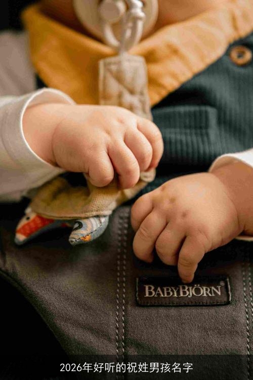 2026年好听的祝姓男孩名字 2026年好听的祝姓男孩名字