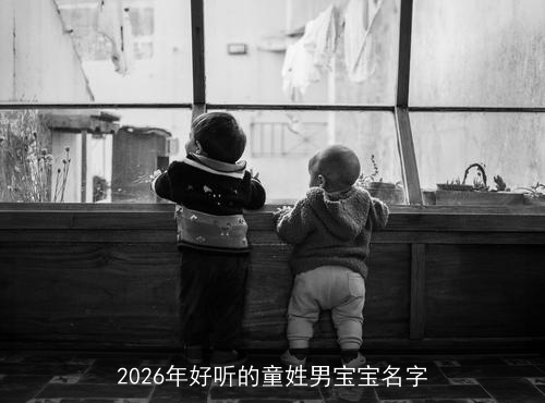 2026年好听的童姓男宝宝名字 2026年好听的童姓男宝宝名字