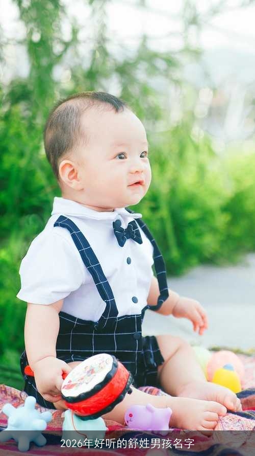 2026年好听的舒姓男孩名字 2026年好听的舒姓男孩名字