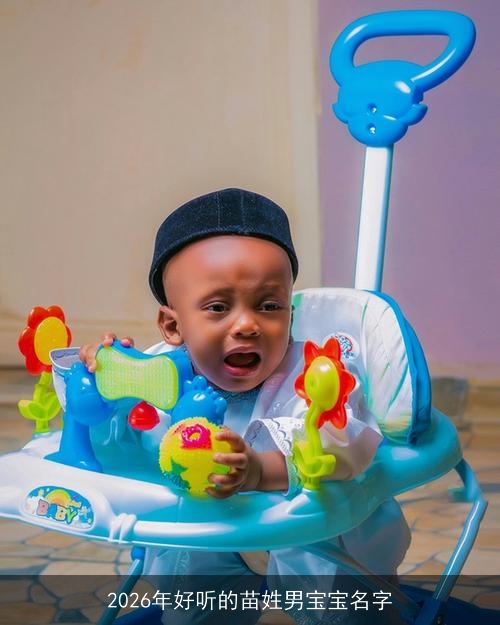 2026年好听的苗姓男宝宝名字 2026年好听的苗姓男宝宝名字