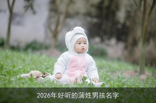 2026年好听的蒲姓男孩名字 2026年好听的蒲姓男孩名字
