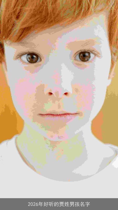 2026年好听的贾姓男孩名字 2026年好听的贾姓男孩名字