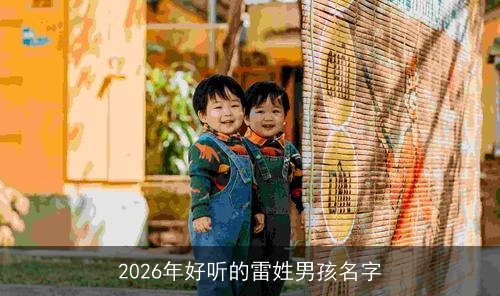 2026年好听的雷姓男孩名字 2026年好听的雷姓男孩名字