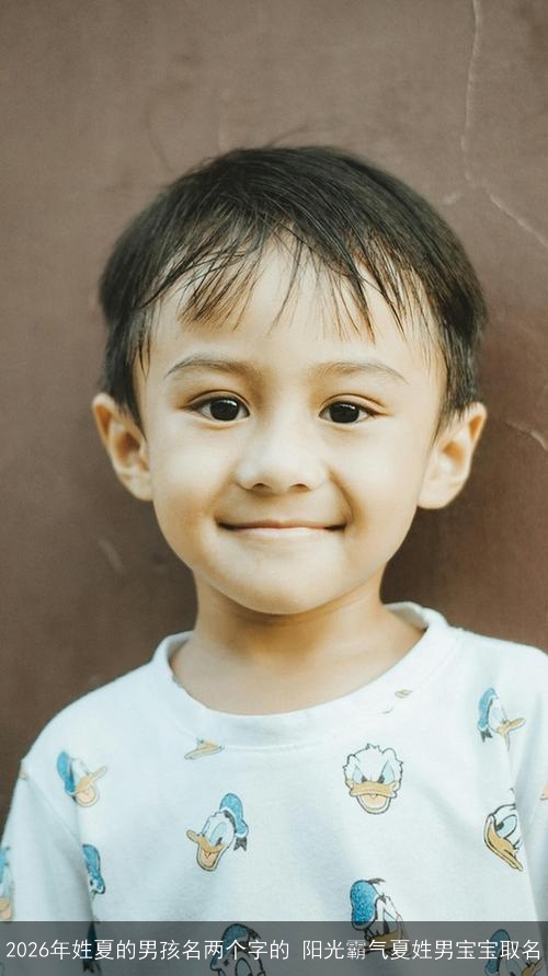 2026年姓夏的男孩名两个字的 阳光霸气夏姓男宝宝取名 2026年姓夏的男孩名两个字的 阳光霸气夏姓男宝宝取名