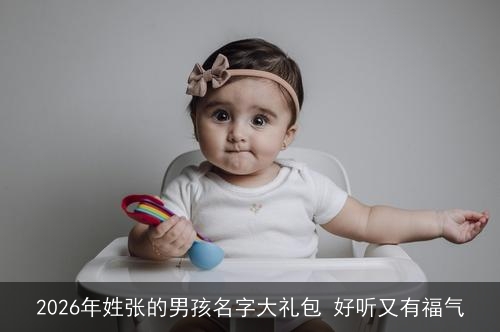 2026年姓张的男孩名字大礼包 好听又有福气 2026年姓张的男孩名字大礼包 好听又有福气